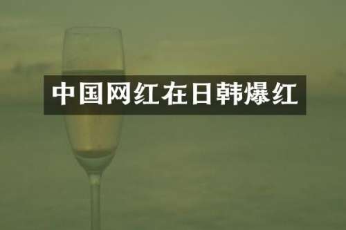 中国网红在日韩爆红