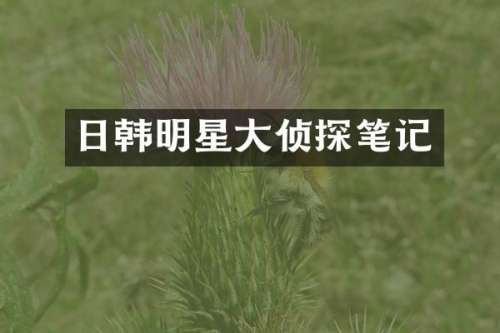 日韩明星大侦探笔记