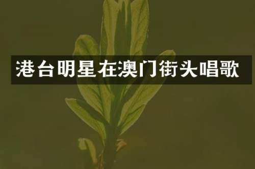 港台明星在澳门街头唱歌
