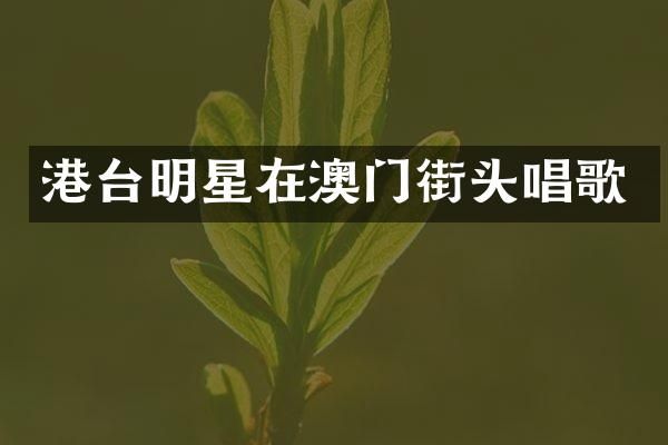 港台明星在澳门街头唱歌