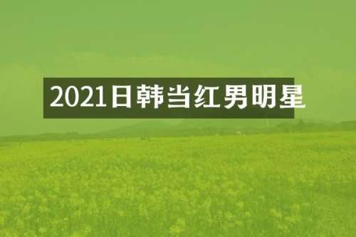 2021日韩当红男明星