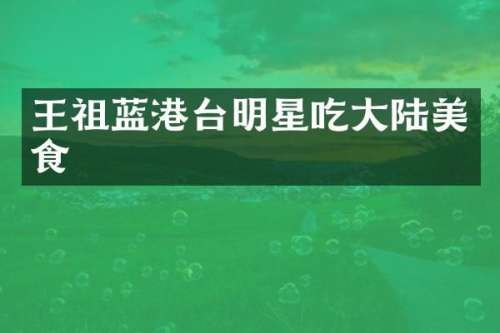王祖蓝港台明星吃大陆美食