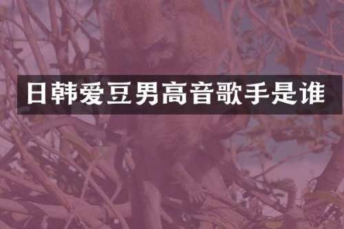 日韩爱豆男高音歌手是谁