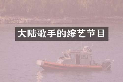 大陆歌手的综艺节目