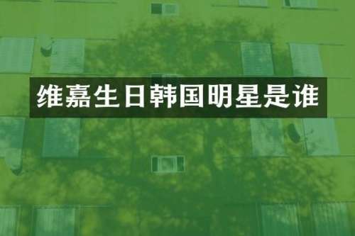 维嘉生日韩国明星是谁