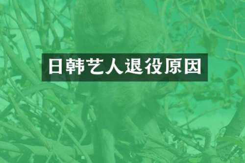 日韩艺人退役原因