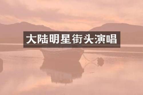 大陆明星街头演唱