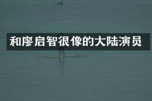 和廖启智很像的大陆演员