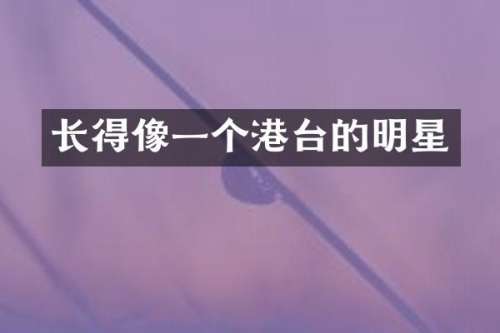 长得像一个港台的明星