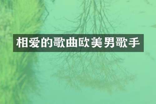 相爱的歌曲欧美男歌手