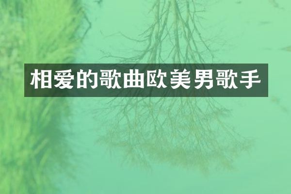 相爱的歌曲欧美男歌手