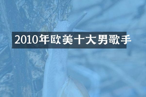 2010年欧美十大男歌手