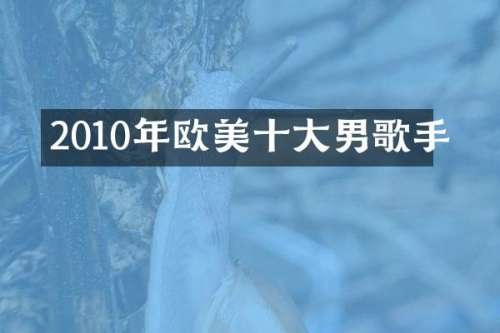 2010年欧美十大男歌手