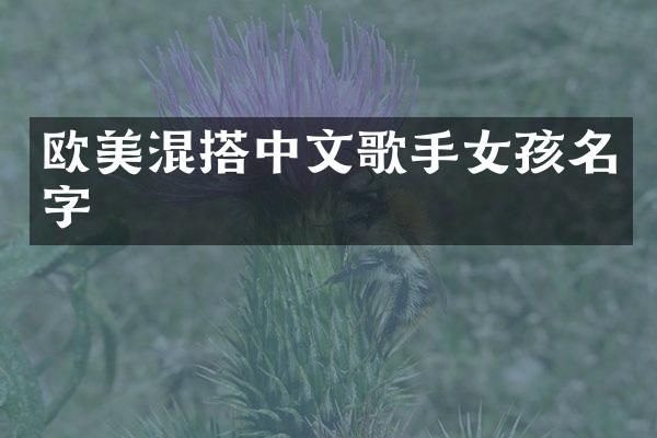 欧美混搭中文歌手女孩名字