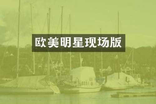欧美明星现场版