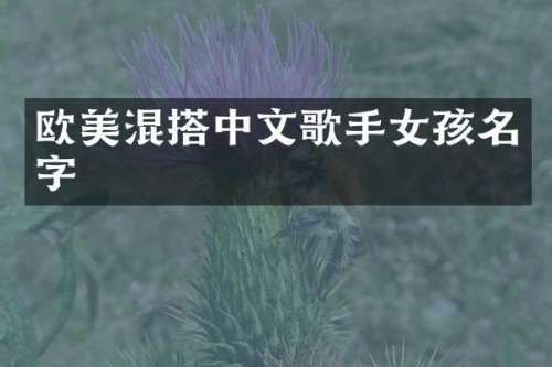 欧美混搭中文歌手女孩名字