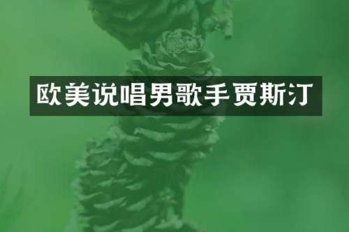 欧美说唱男歌手贾斯汀
