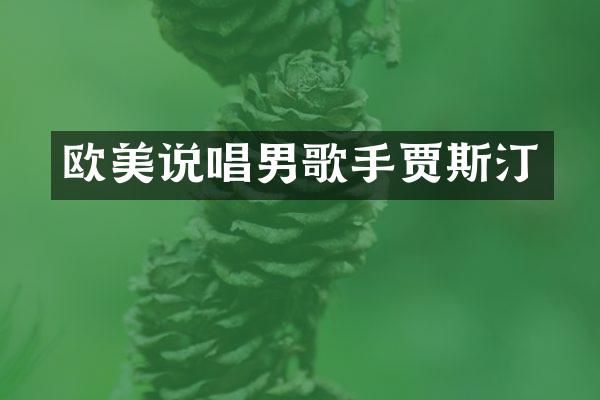 欧美说唱男歌手贾斯汀