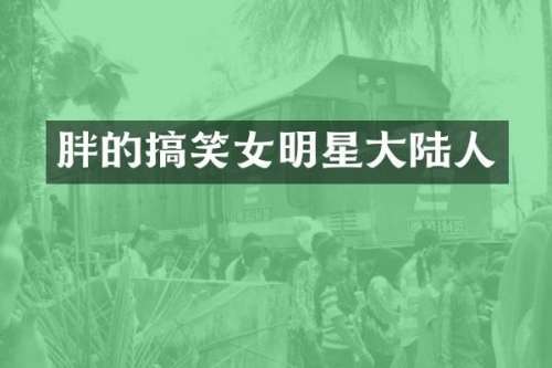 胖的搞笑女明星大陆人