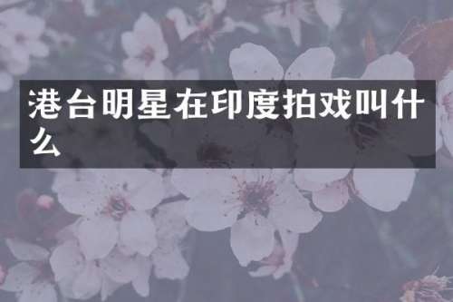 港台明星在印度拍戏叫什么