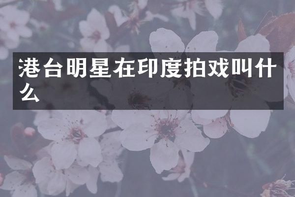 港台明星在印度拍戏叫什么