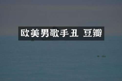 欧美男歌手丑 豆瓣