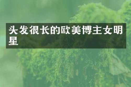 头发很长的欧美博主女明星