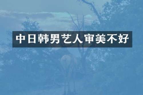 中日韩男艺人审美不好
