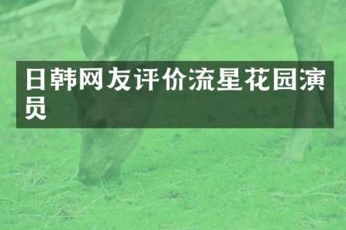 日韩网友评价流星花园演员