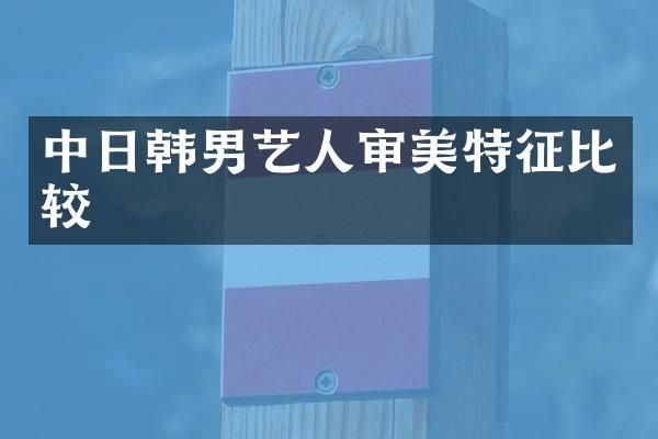 中日韩男艺人审美特征比较