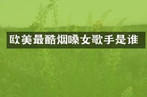 欧美最酷烟嗓女歌手是谁