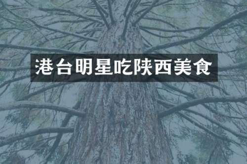 港台明星吃陕西美食