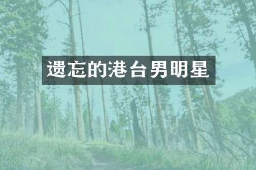 遗忘的港台男明星