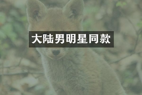 大陆男明星同款