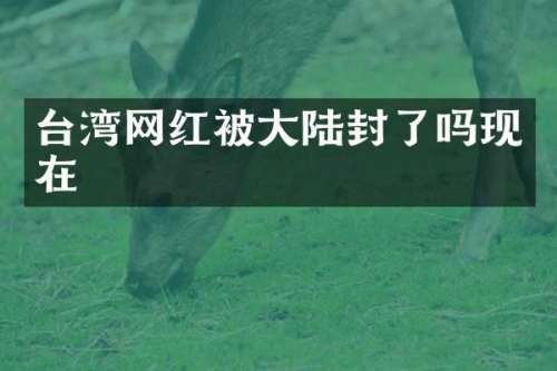 台湾网红被大陆封了吗现在