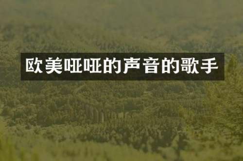 欧美哑哑的声音的歌手