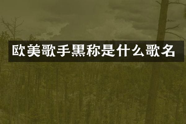 欧美歌手黑称是什么歌名