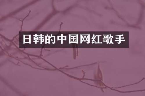 日韩的中国网红歌手