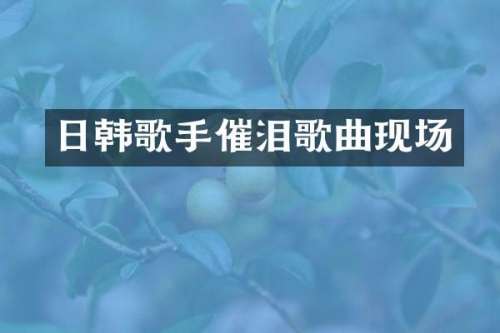 日韩歌手催泪歌曲现场