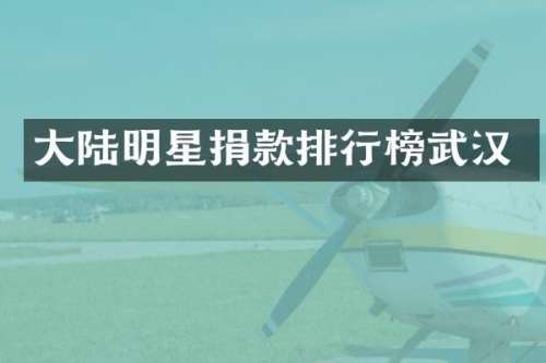 大陆明星捐款排行榜武汉