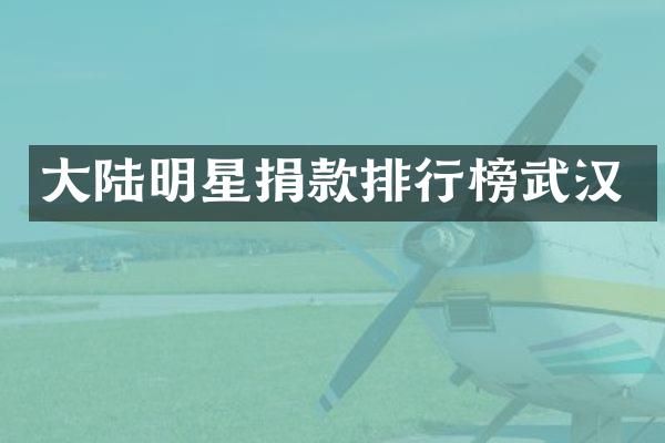 大陆明星捐款排行榜武汉