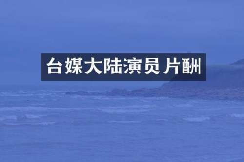 台媒大陆演员片酬