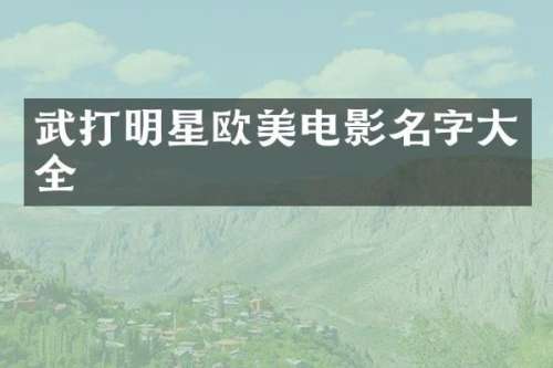 武打明星欧美电影名字大全