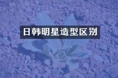 日韩明星造型区别
