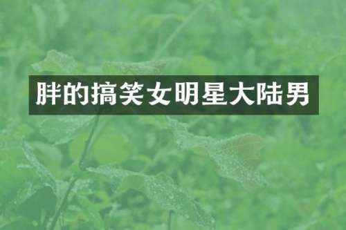 胖的搞笑女明星大陆男