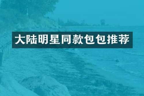 大陆明星同款包包推荐