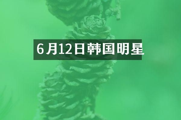 6月12日韩国明星