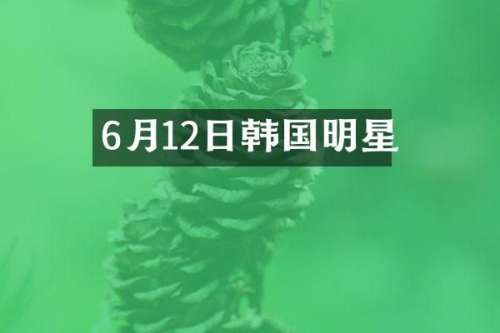 6月12日韩国明星