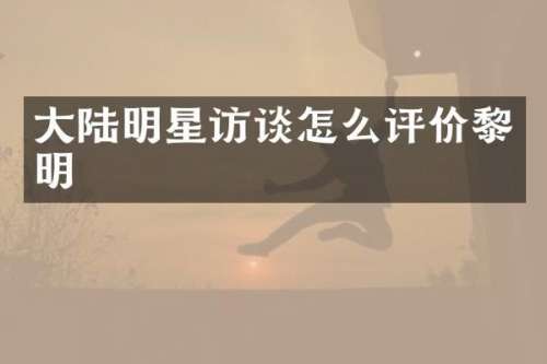 大陆明星访谈怎么评价黎明