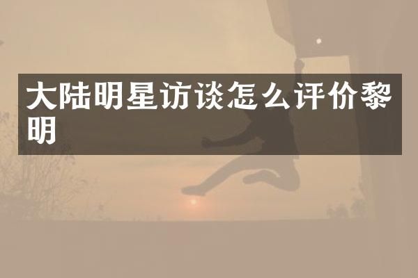 大陆明星访谈怎么评价黎明